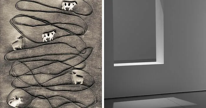 We Have Chosen The Most Beautiful Images Submitted For All About Photo Magazine Awards: Shapes 2023 (25 Pics)