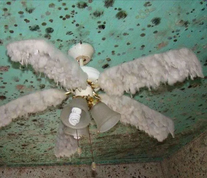Mold