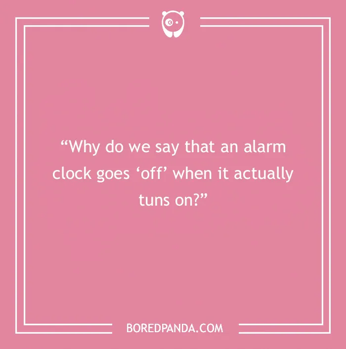 The Most Stupid Questions to Make You Laugh and Think