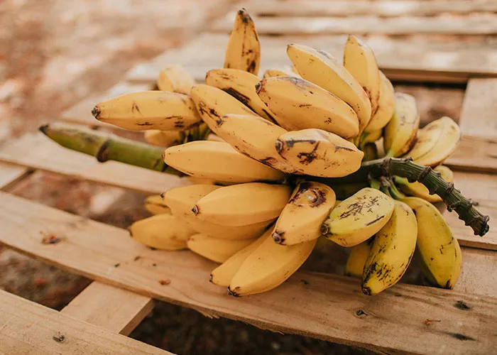 50 People Share Random Facts That They Were Shocked To Learn