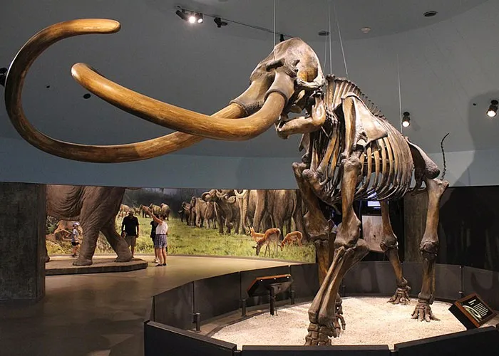 50 People Share Random Facts That They Were Shocked To Learn