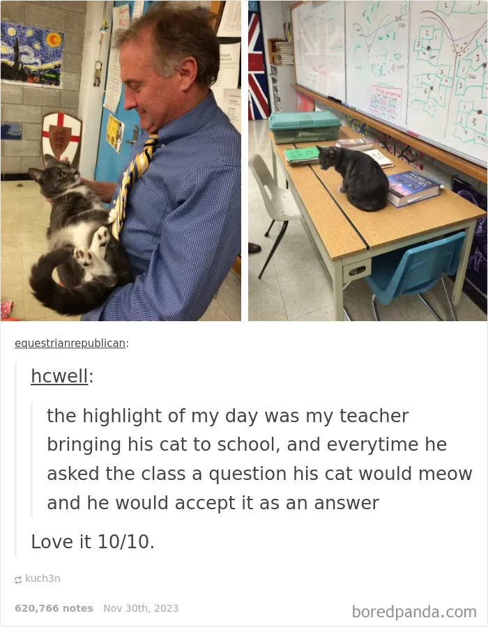 Teacher’s Pet