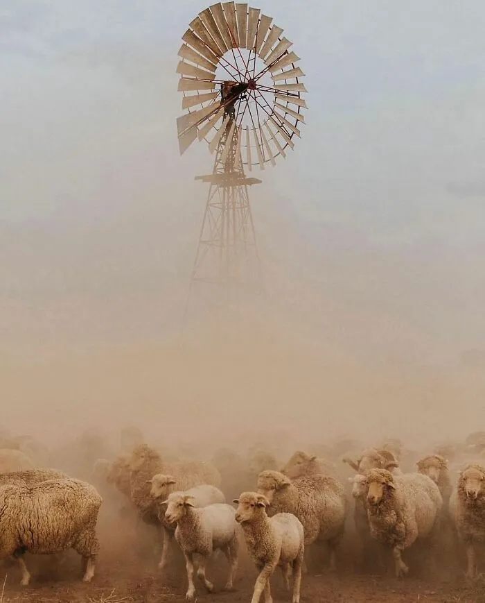 50 Interesantes fotografías compartidas por la revista Decisive Moments