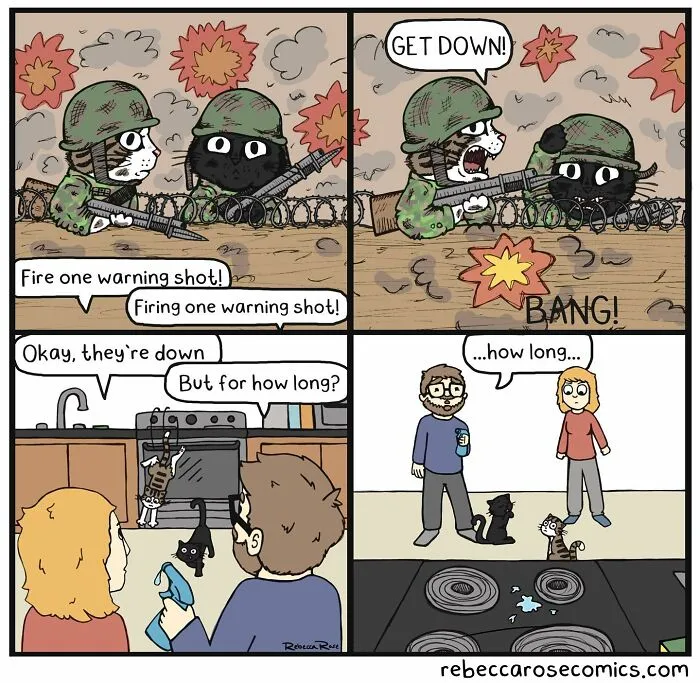 26 Cute Comics About Daily Life With 4 Cats And A Boyfriend, By Rebecca Rose Comics (New Pics)