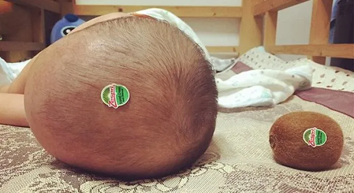 This Page Shares The Most Random And Entertaining Pics, And Here's 30 Of The Best