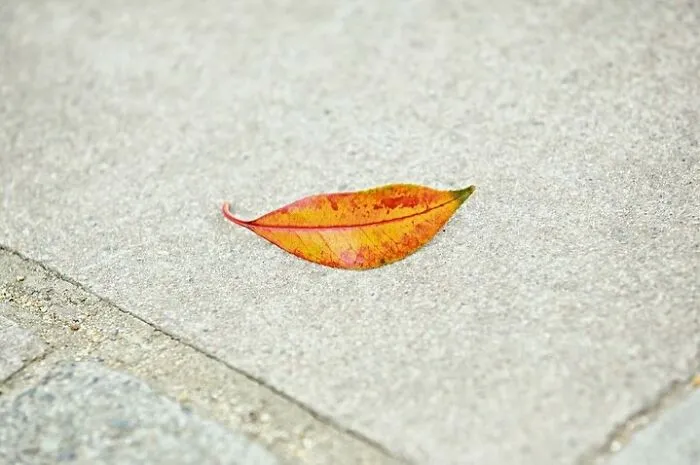 Here Are 50 Of The Most Interesting Images Selected By This Instagram Page