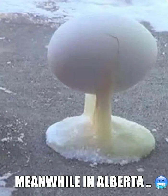 “Sorry, We Are Sorry”: 35 Hilarious Accurate Memes That Sum Up The Country Perfectly (New Pics)