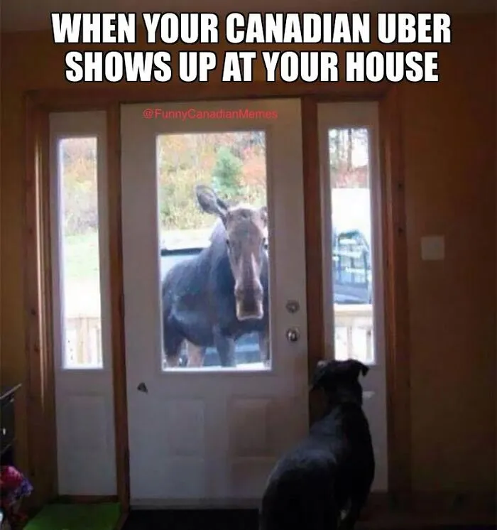 “Sorry, We Are Sorry”: 35 Hilarious Accurate Memes That Sum Up The Country Perfectly (New Pics)
