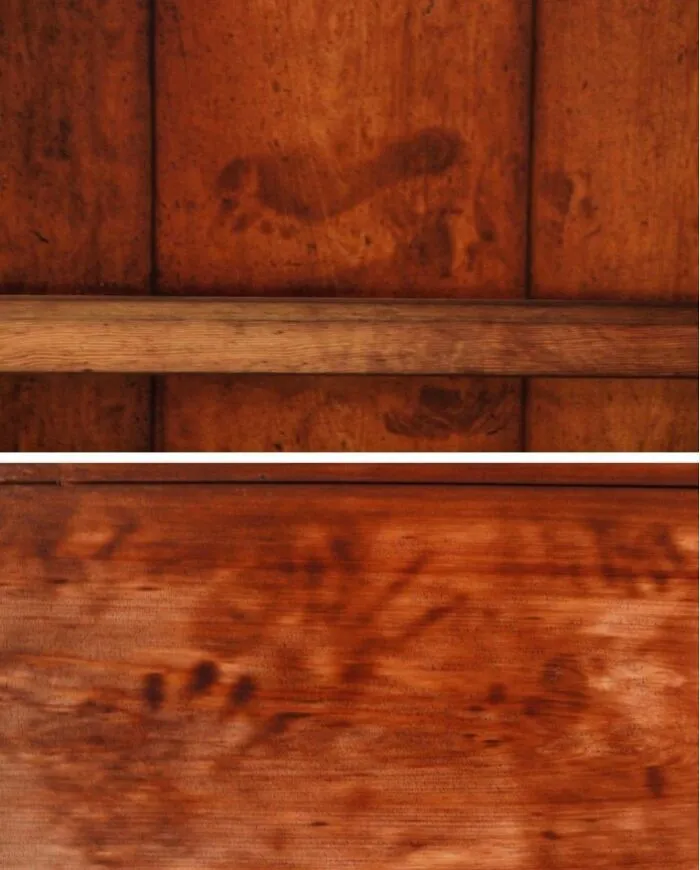 In Kyoto, There Are Five Temples With Ceilings Bearing Human Blood Stains