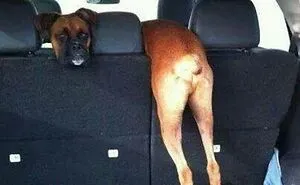 This Page Shares The Most Random And Entertaining Pics, And Here's 30 Of The Best
