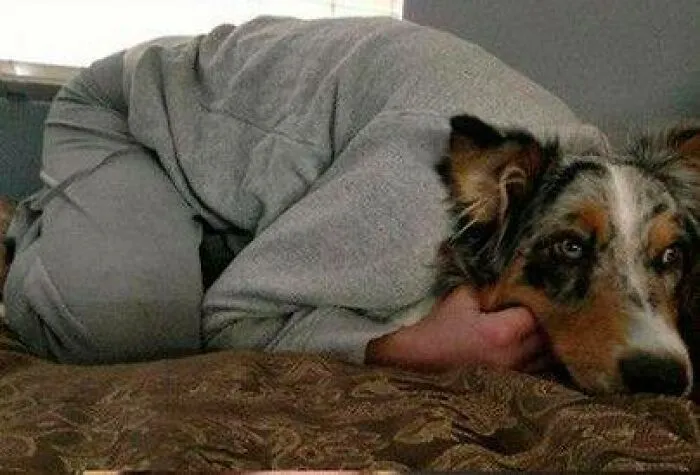 This Page Shares The Most Random And Entertaining Pics, And Here's 30 Of The Best