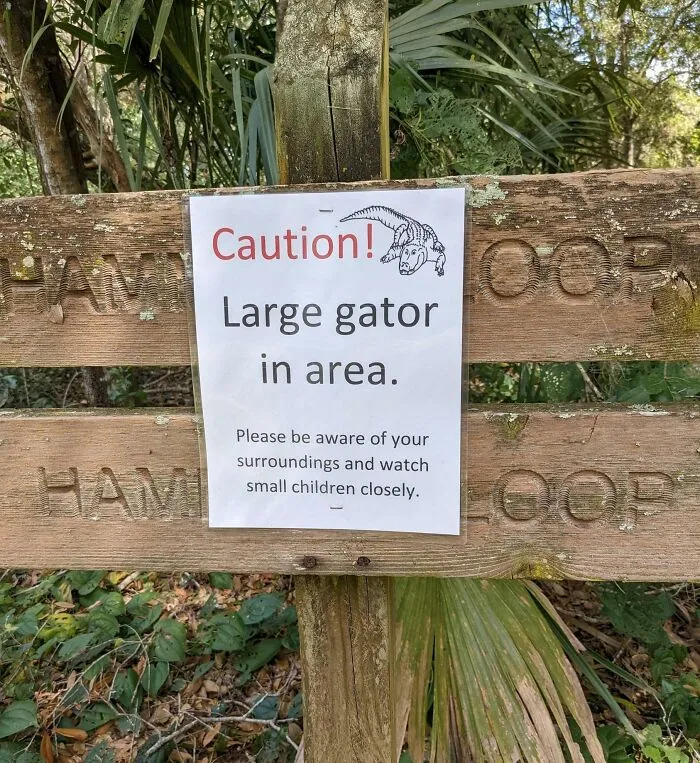 Found This Halfway Through A Nature Trail