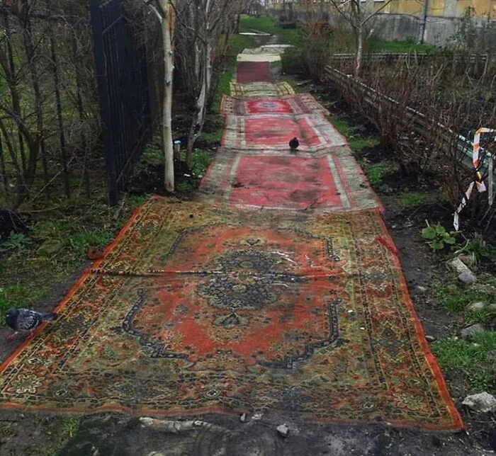 Rugs