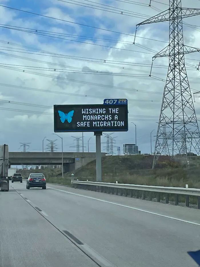 Road Sign Wishing Butterflies A Good Migration South For The Winter