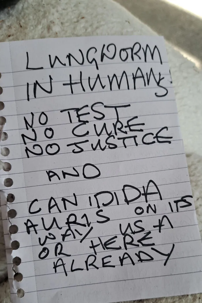 Neighbour Put This Under My Door This Morning