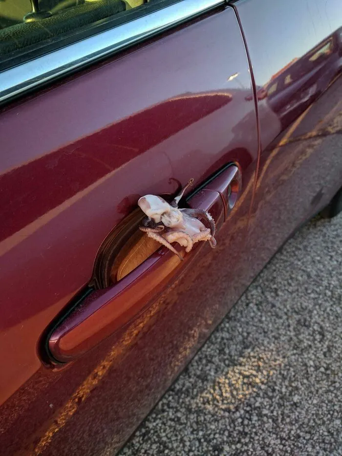 Someone Left This On My Boyfriend's Car Door