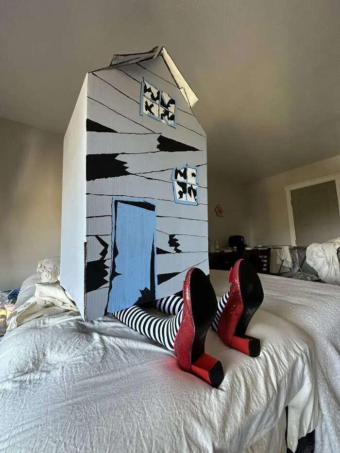 My Wife Is Bedbound So I Made Her This Halloween Costume