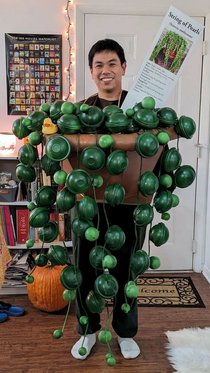 I Made My Plant Costume