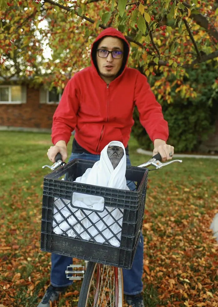 E.t. This Year