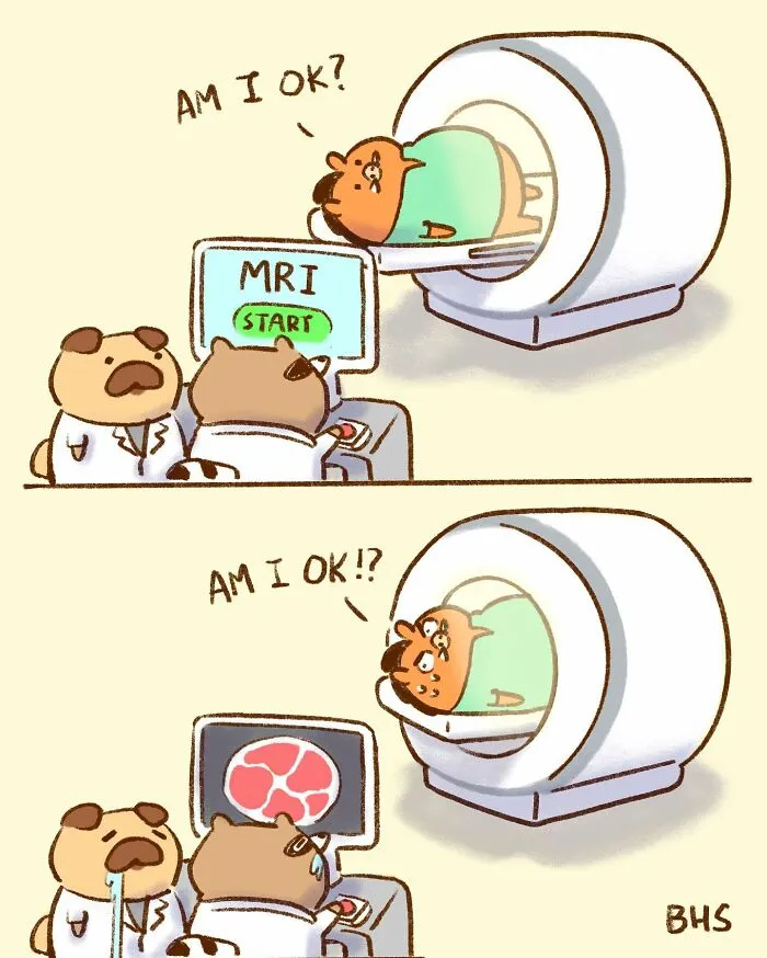 This Artist Creates Hilariously Relatable Comics, Featuring All Kinds Of Cute Animals (32 New Pics)