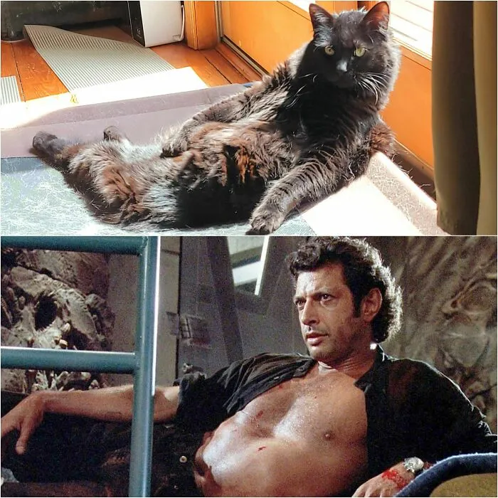Showing Off Her Best Jeff Goldblum Impression