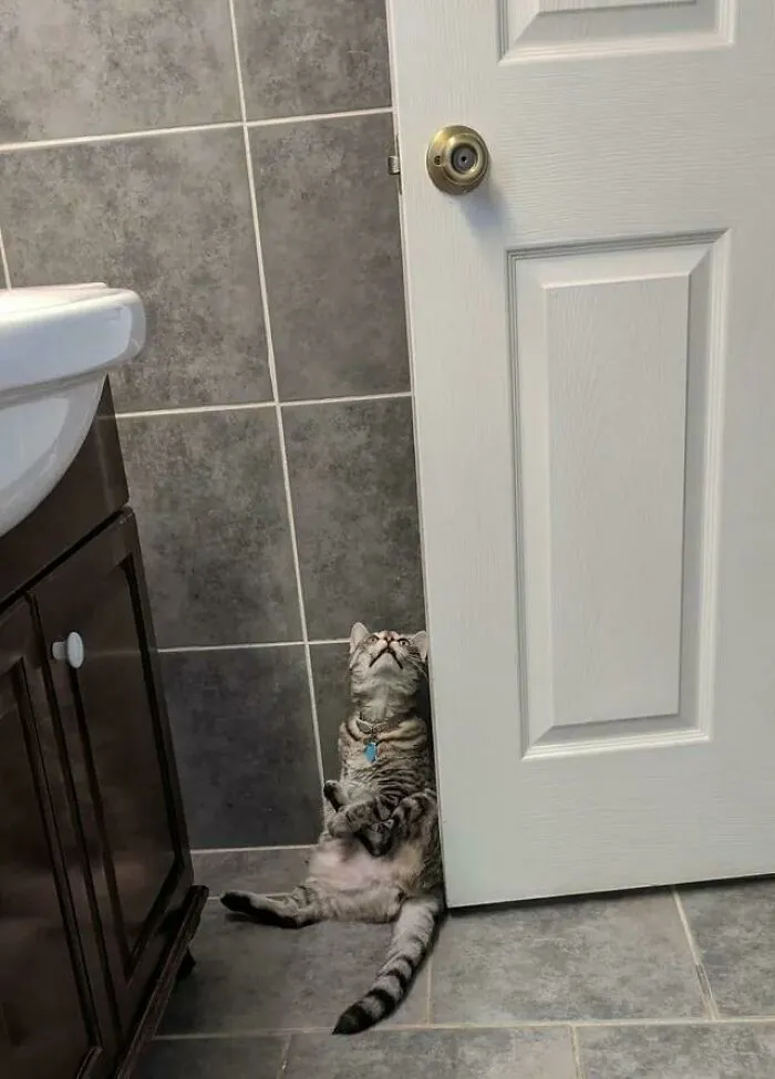 ¿Por qué hace cosas raras en el baño?