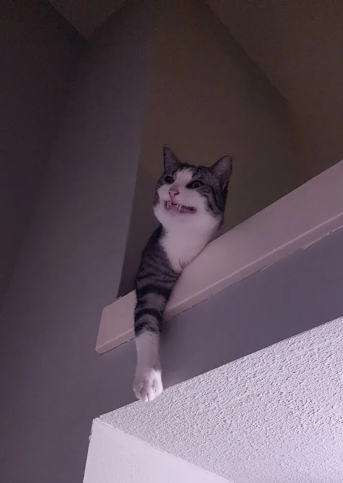 Da miedo ver esto mientras te bañas