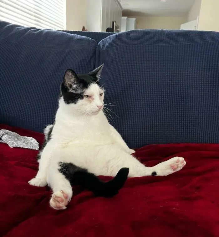He Is Beauty. He Is Grace. He Is Triangle