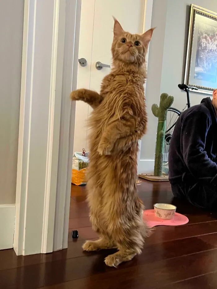 She Looks Like A Mascot!