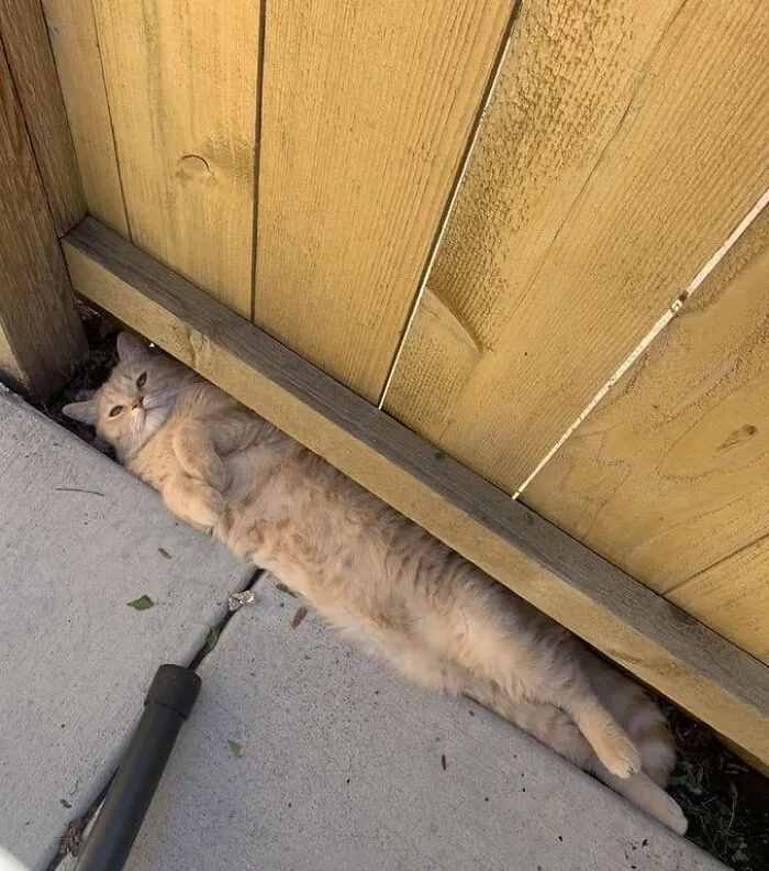 Now This Is The Place To Rest!