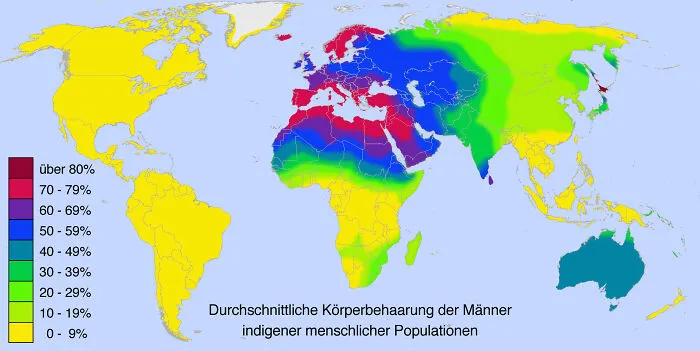 Male Body Hair Distribution Of Indigenous Human Populations Around The World