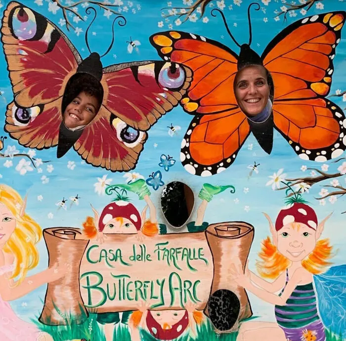 Butterfly Arc