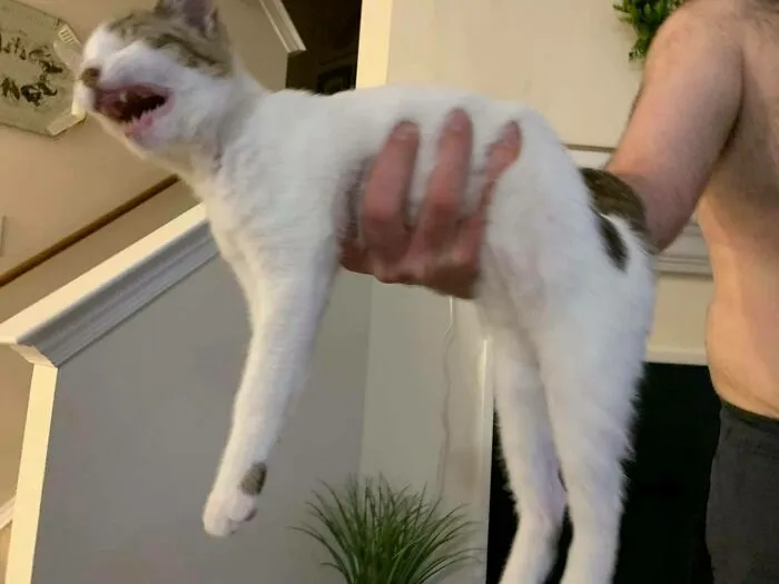 Houghjhjhhhh Oughhhhh Echhhehchhhh