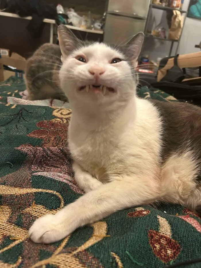 Eeeennnggkgkfhkgkhj