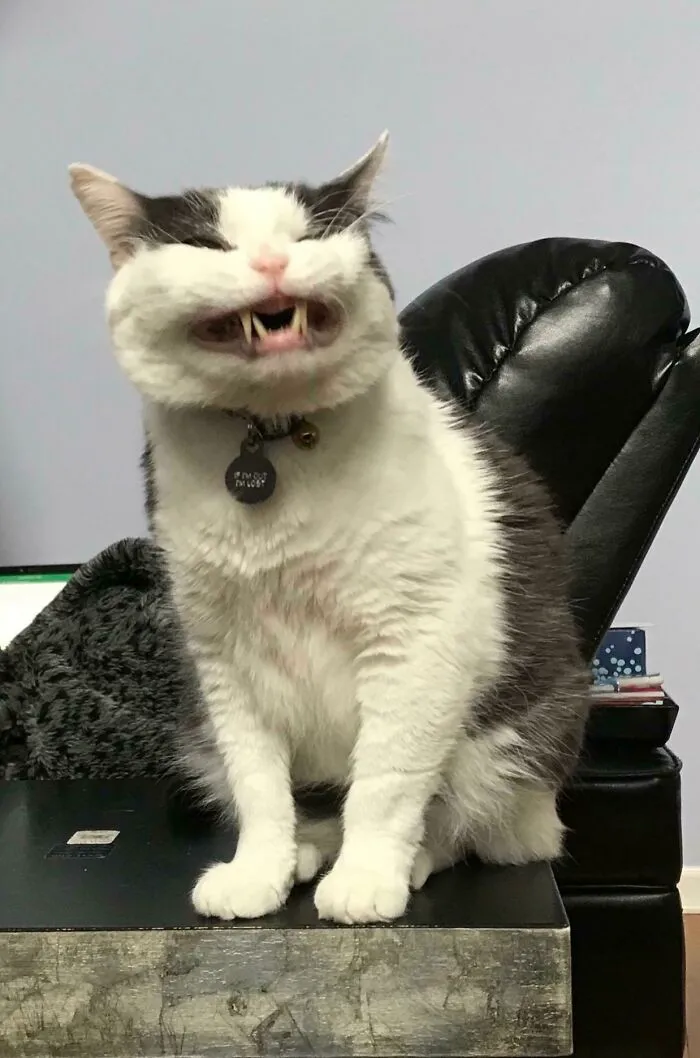 The Scrungiest Tm (You Can Barely Tell He’s Only Got One Eye!)