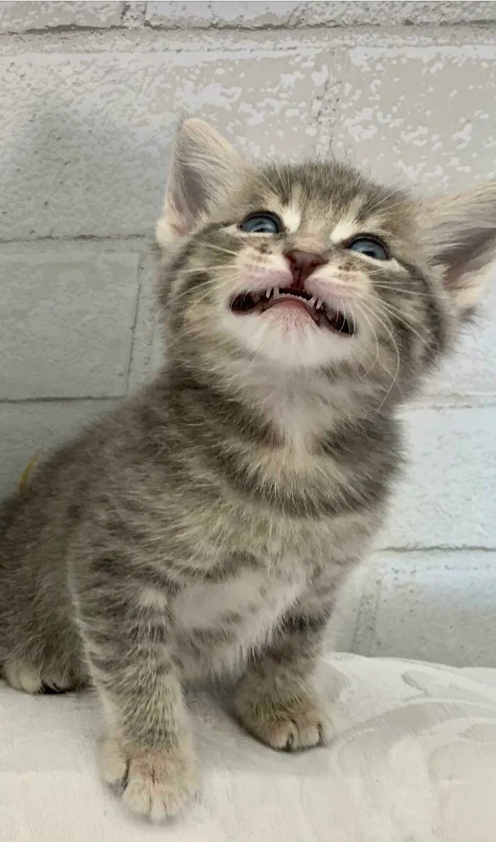 This Cutie Is All Mine In A Week