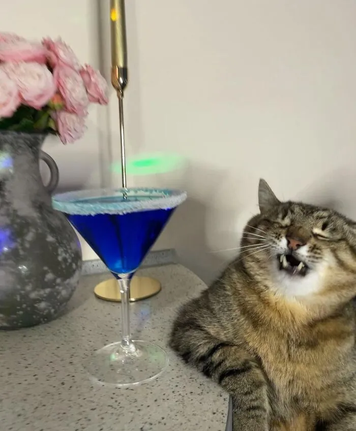 Alcoholic Scrunge