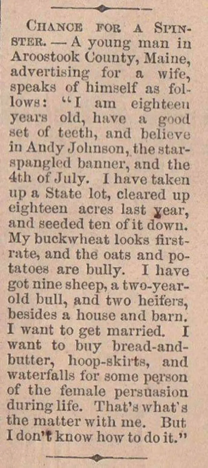 Man Looking For A Wife In 1865