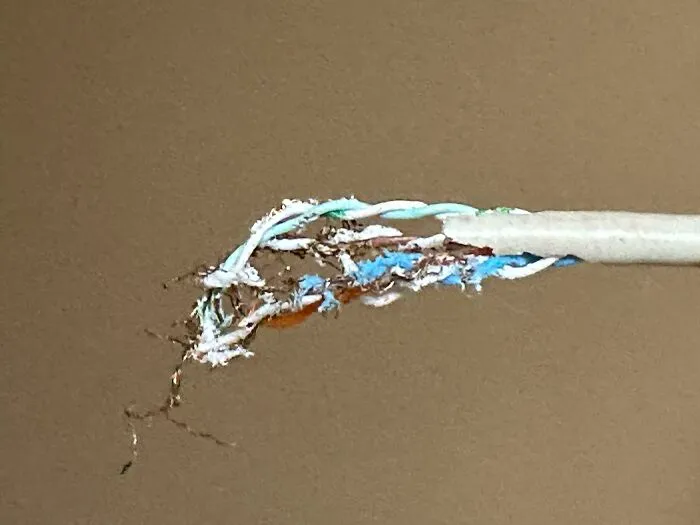 Incompatible Mouse Knocks Out Internet