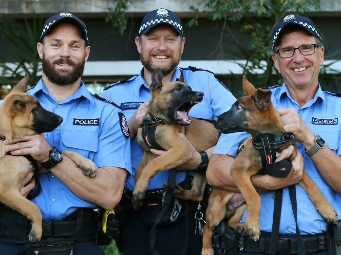 The West Australian Police Force Has Three New Recruits