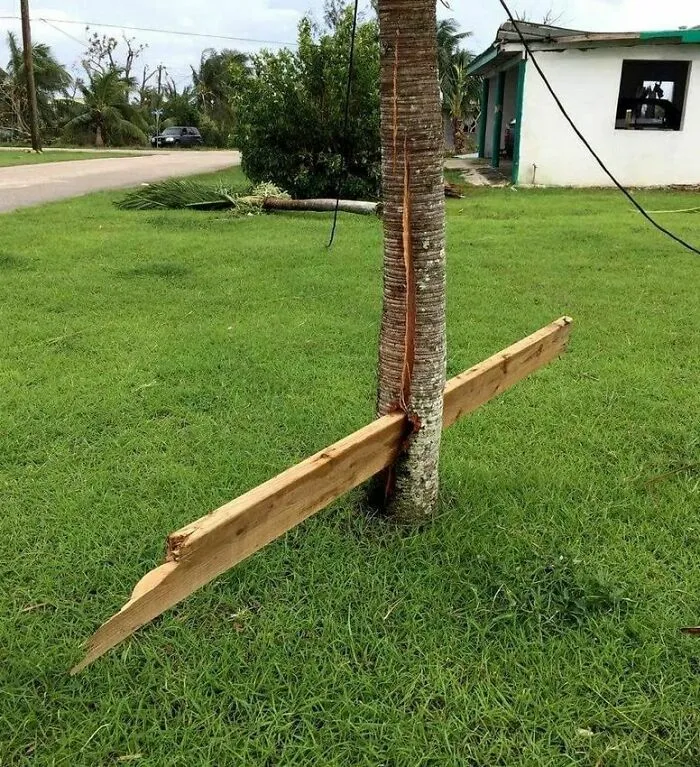 The Power Of A Tornado