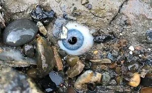 33 Images Of Most Creepy Things People Have Came In Contact In Their Daily Lives