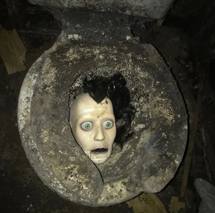 I’m A Contractor. Bought An Abandoned/Foreclosed Home To Renovate. This Was In The Basement Bathroom
