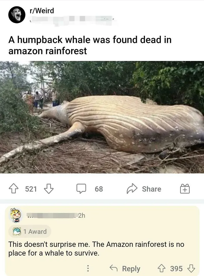 Does Not Surprise Me Either