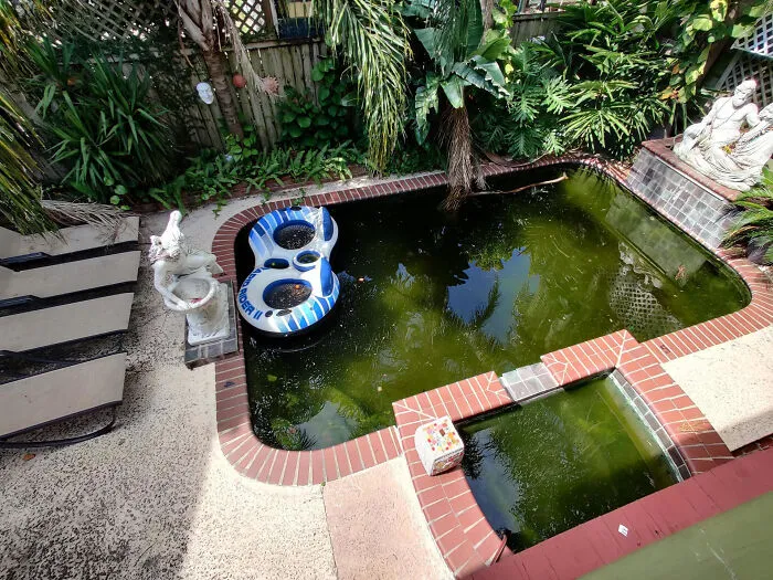 More Reasons To Hate Airbnb. I Went On A Trip Several Weeks Ago To New Orleans, And Our Airbnb Host Didn't Tell Us Until We Landed That The Pool Was Unusable. The A/C In 80% Of The House Was Broken Too