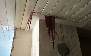 Home Inspectors Share The Funniest And Most Questionable Things They've Seen On The Job (50 Pics)
