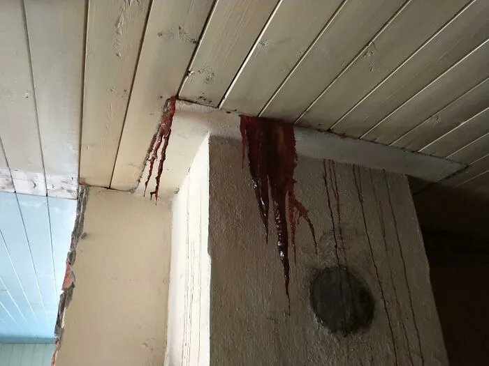 Something Is Slowly Leaking Down From The Attic