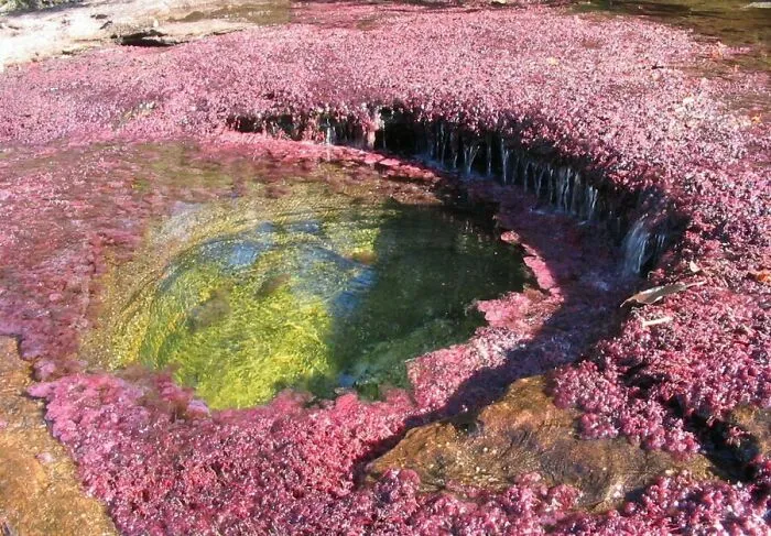 El más bello río, el río Crystal