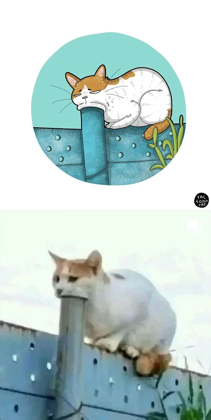 35 Already Famous Internet Pics Get Transformed Into Even Funnier Cartoons By Tactooncat (New Pics)
