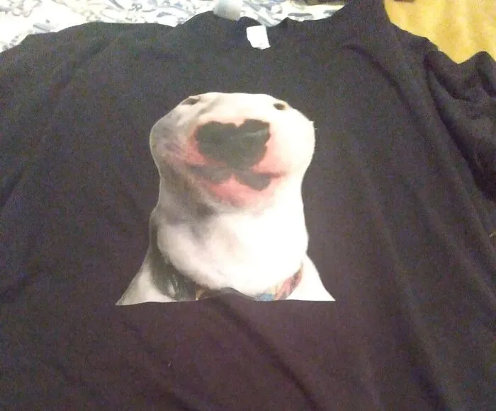 Who Let The Dogs Out (*in Style*)? With Walter Dog T-Shirt - Making Walkies More Fashion-Forward